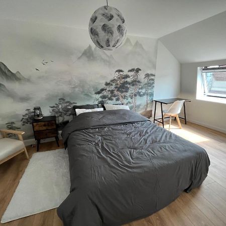 Voyage En Duplex En Hyper Centre Apartment Valenciennes Bagian luar foto